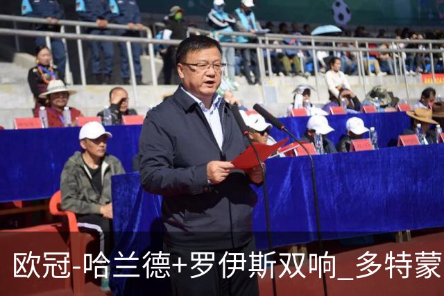 欧冠-哈兰德+罗伊斯双响 多特蒙德5-0大胜进欧联